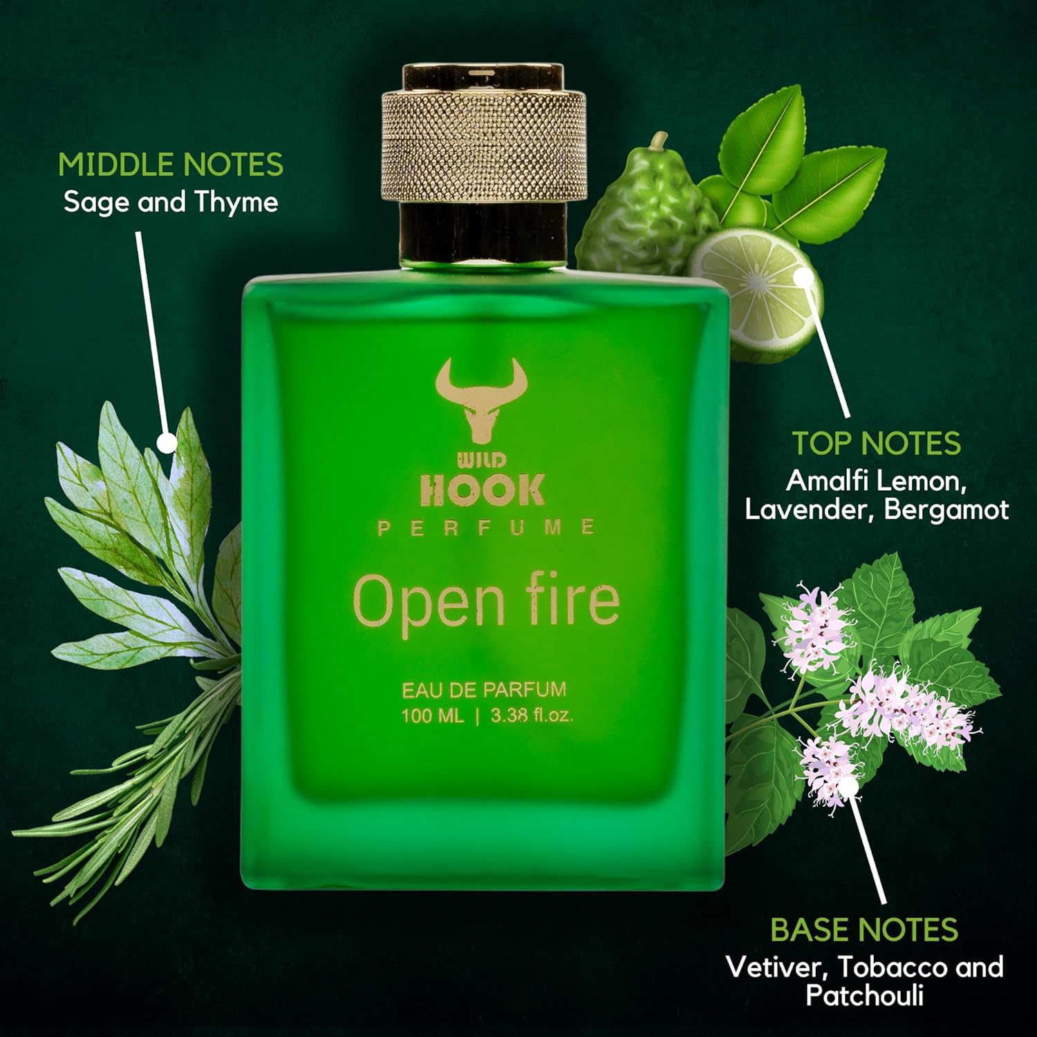 Wild Hook - Open Fire || Eau De Perfume