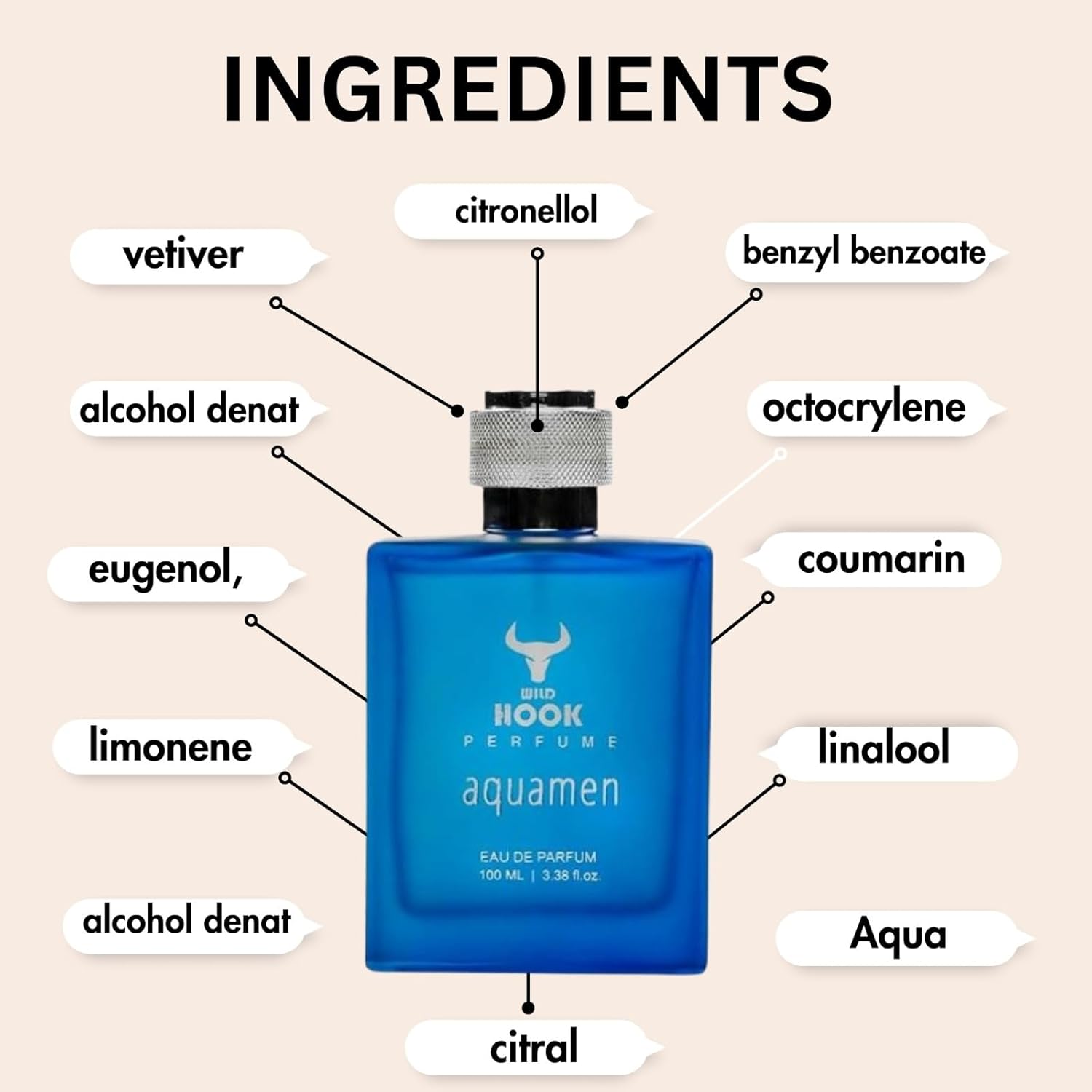 Wild Hook Aqua Men Eau de Parfum