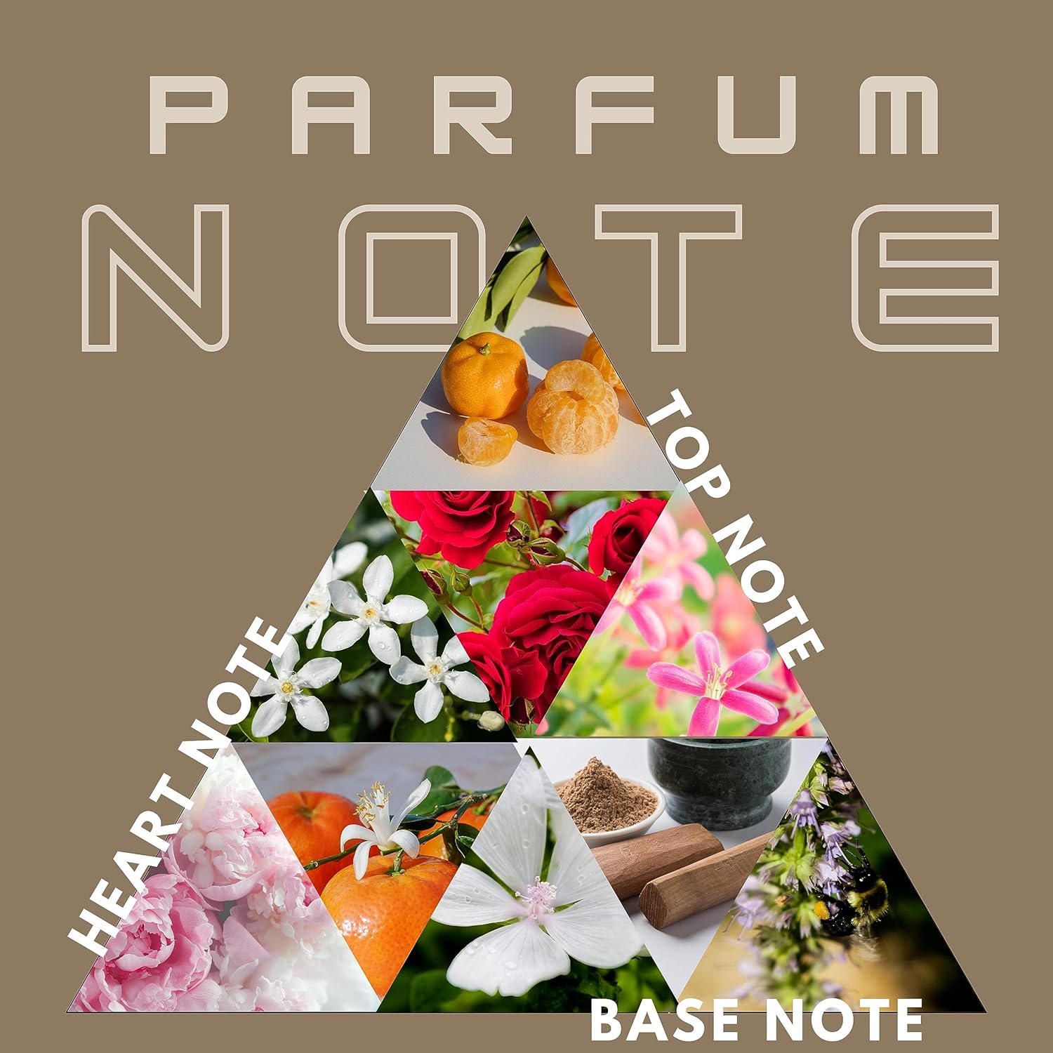 WILD HOOK – Scent Of Bliss Eau De Parfum