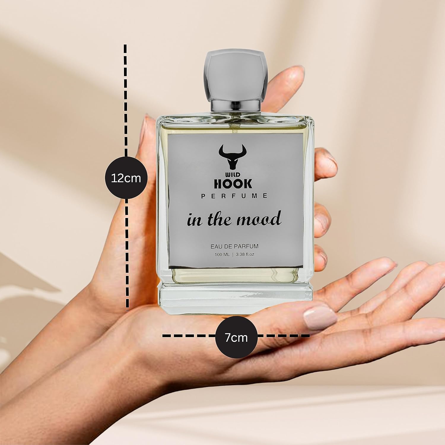 WILDHOOK – IN THE MOOD