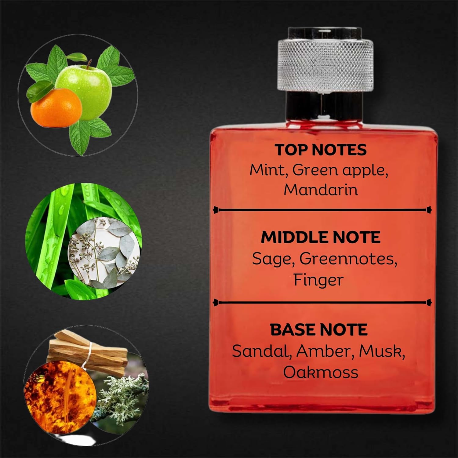 Wild Hook - Hard Play || Eau De Perfume